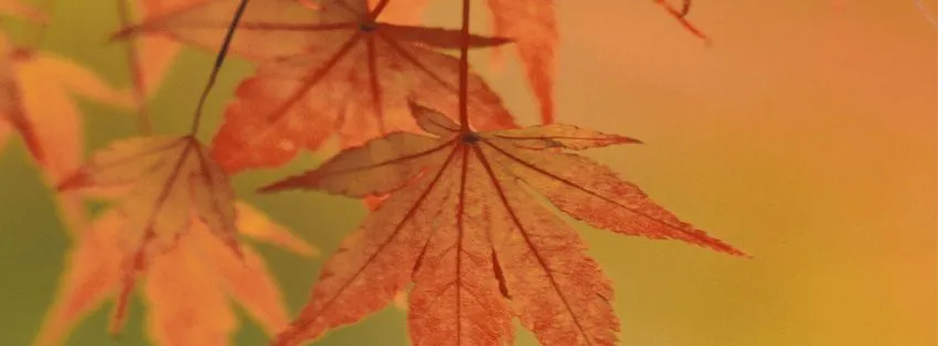 Portada El Otoño