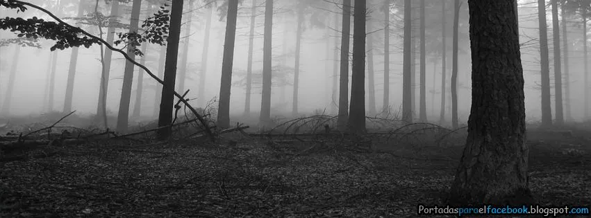 Portadas de Bosques tenebrosos para facebook - Portadas para facebook