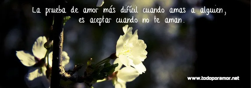 1) Nuevas portadas para tu Facebook con frases de amor ~ Todo por Amor