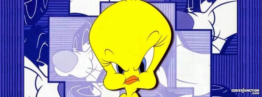 Portadas para facebook: Piolin enojado