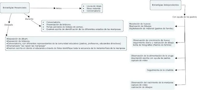 Portal Informático: Curso Cómo Nacen Las Mariposas