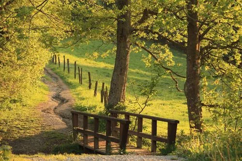 Portales hermosos - caminos. - Taringa!