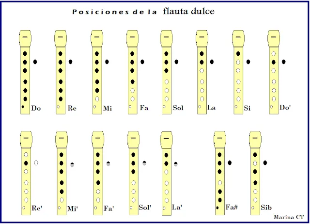 3º PRIMARIA