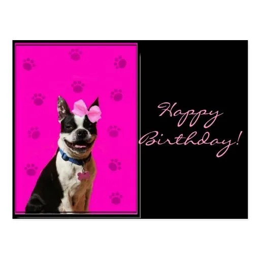 postal_de_boston_terrier_del_ ...