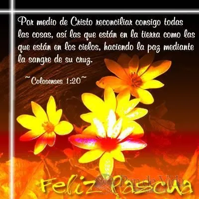 Postales de Amistad Cristianas Animadas Gratis : Todo Msn Chat