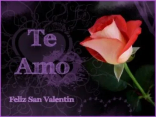 Imágenes Románticas | Te Amo Web - Imagenes de amor - Part 60