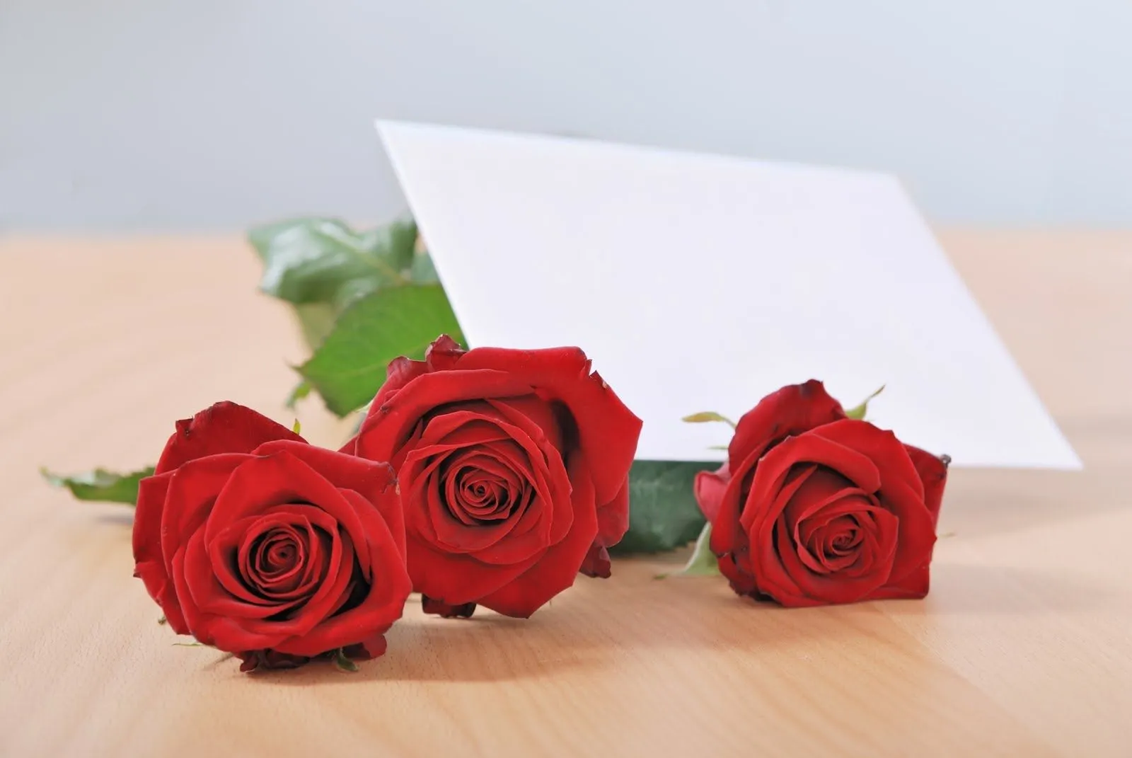 imagenes de amor rosas rojas regalo para el 14 de febrero postales ...