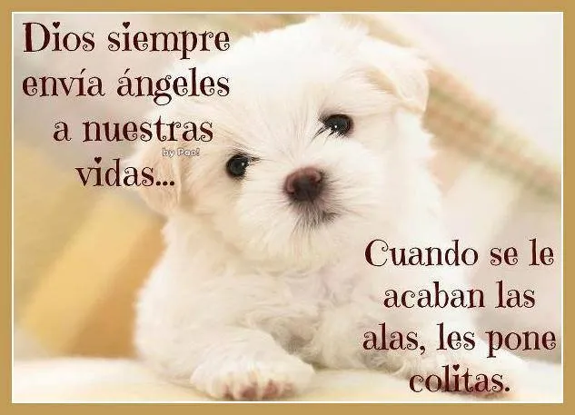 Postales de Amor de Dios - Banco de Imagenes Gratis