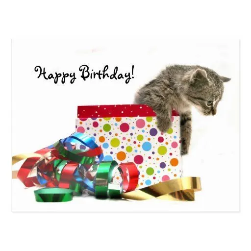 Gatito del feliz cumpleaños tarjetas postales | Zazzle