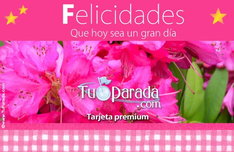 Postales de flores - Tarjetas con flores, tarjetas floreadas ...