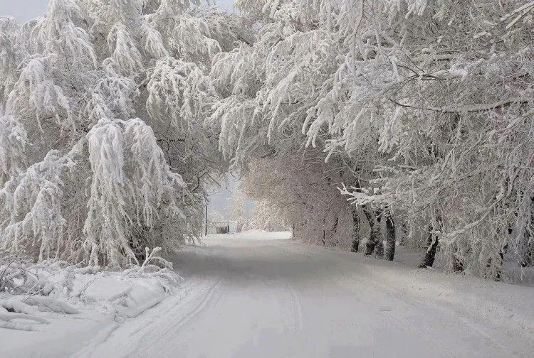 Postales con paisajes de invierno para usar de Protector de ...