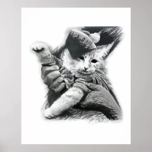 Poster del dibujo de lápiz del gato del teclado | Zazzle