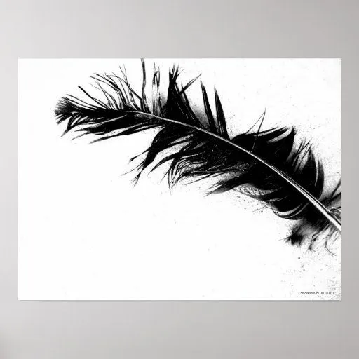 Poster negro de la pluma | Zazzle