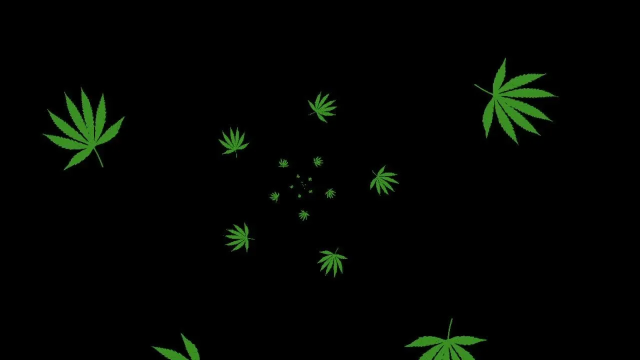 Pot Leafs Marihuana Trip Effect 3D Movimiento De La Cámara videos ...