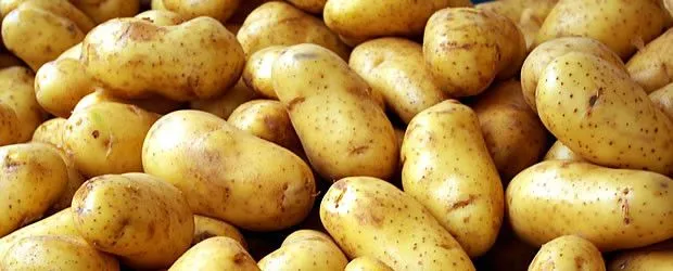 Potato Association of America — "A Professional Society for ...