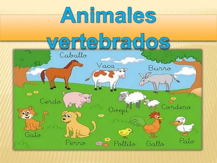 Power animales vertebrados