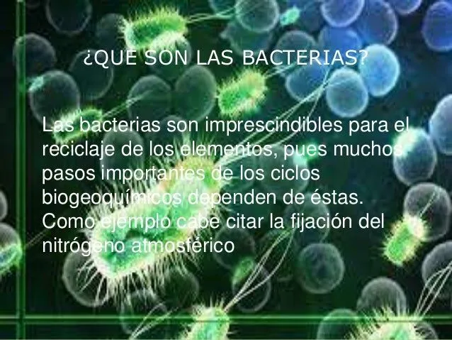 power-point-las-bacterias-4- ...