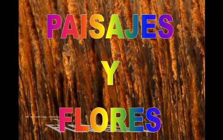 Power Points: Paisajes y flores