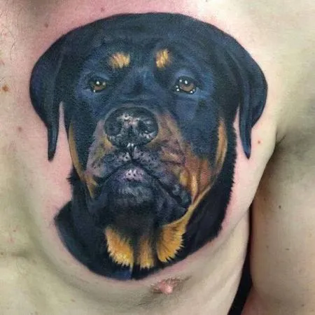 Full color realistic rottweiler dog tattoo by Evan Olin : Tattoos