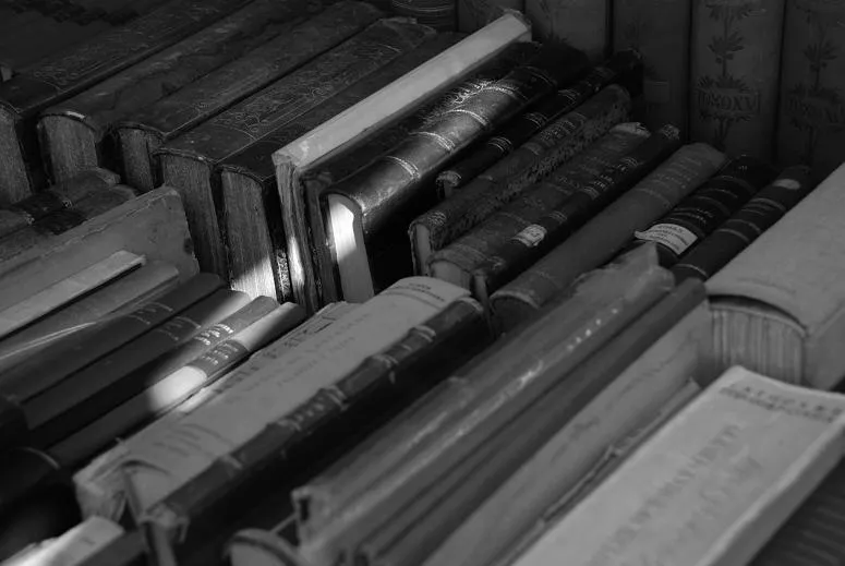 Práctica 3 – Blanco y negro / Color | Mi puta madre en conserva