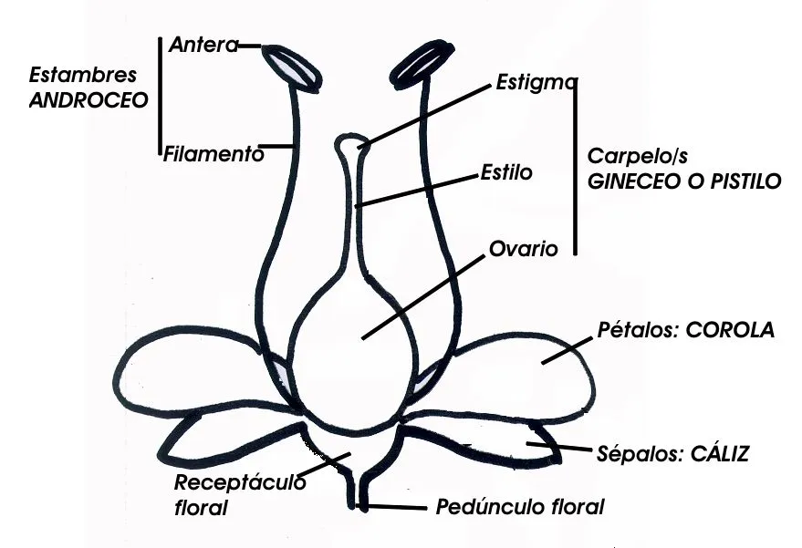 PRACTICA Nº 9