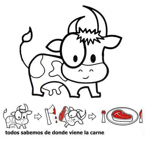 Las preferencias de Cristina: Comer o no comer agonía?