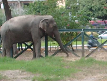 Preguntas al visitar un zoológico - Taringa!