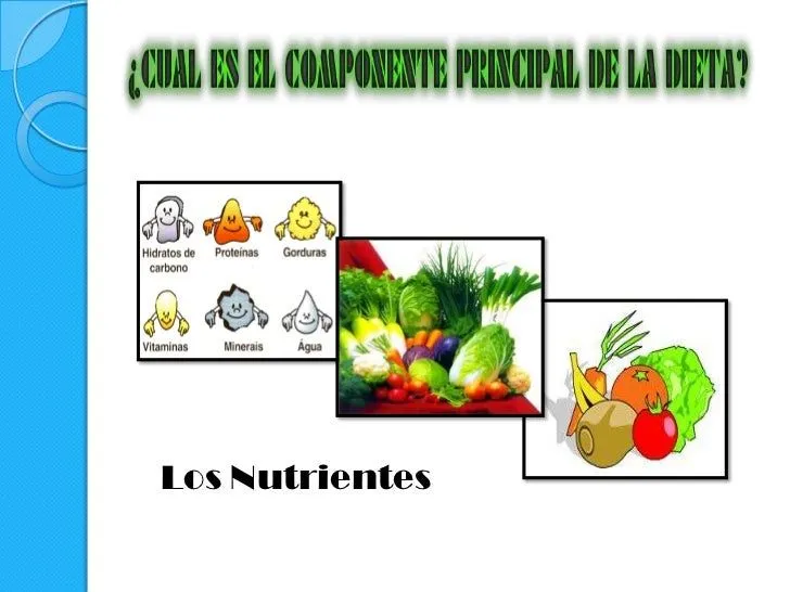 presentacion-de-power-point-la ...