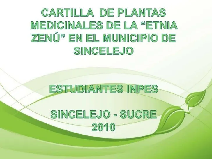 Presentaciòn de plantas medicinales cartilla