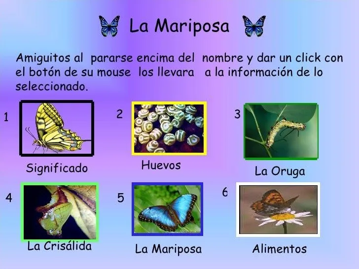 Presn Las Mariposas