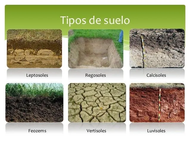 Prevención y control de la contaminación del suelo