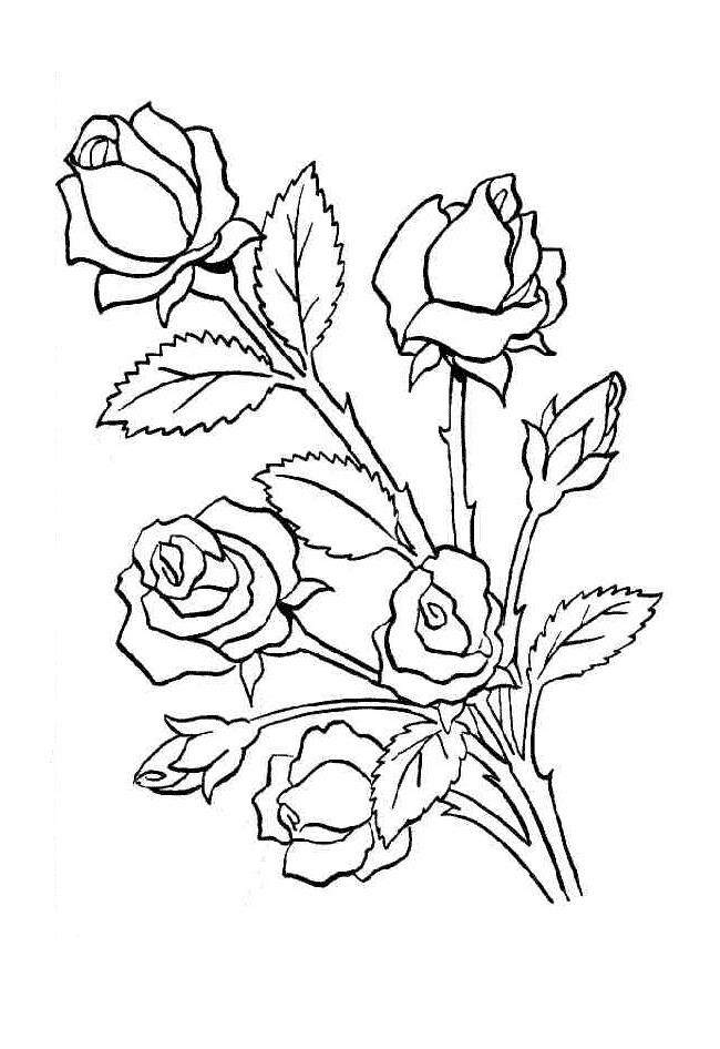 PRIMAVERA. 36 DESENHOS DE FLORES PARA COLORIR E PINTAR ...