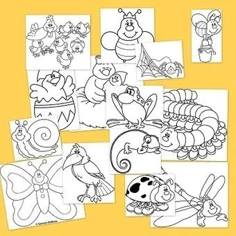 Primavera para colorear: Animales en primavera ...