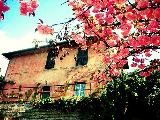 Primavera in città | Flickr - Photo Sharing!