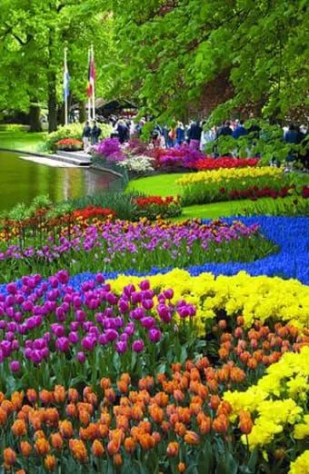 Ya es primavera en Keukenhof | ocio - tecnología