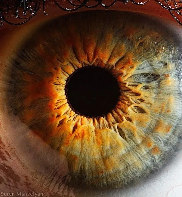 Primerísimos planos de ojos humanos (Fotos HD)