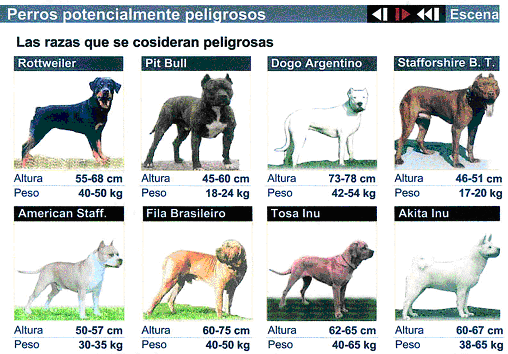 PRINCIPALES RAZAS - www.mundoanimal219.weebly.com