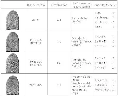 Principio de Identidad - Criminalística Libre 3.5: Huellas ...