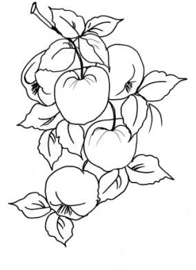 print desenhos: Desenhos de frutas para colorir