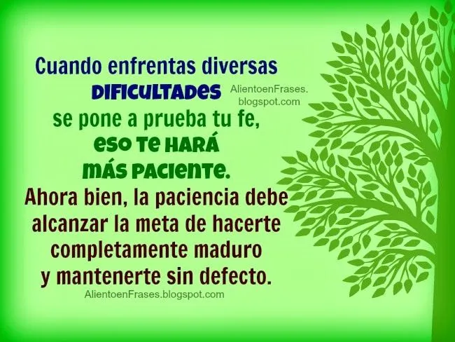 En los problemas ten fe y sé paciente | Aliento en Frases