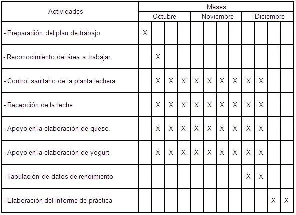 Procesamiento de la leche en un derribado: Queso tipo ucayalino ...