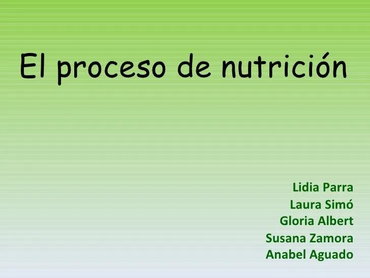 El proceso de nutrición