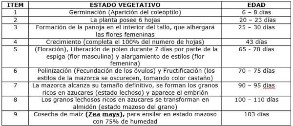 Producción de Forrajes Aplicado a La Alimentación Animal Ensilaje ...