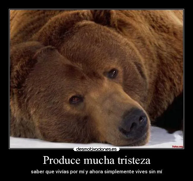 Produce mucha tristeza | Desmotivaciones