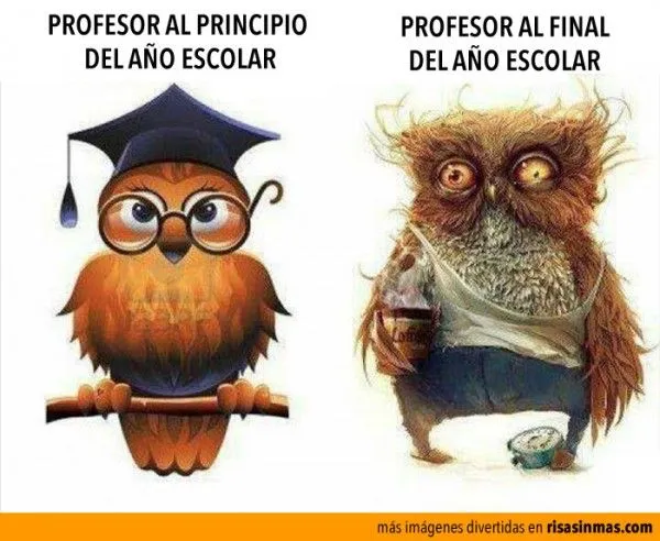 PROFESOR-600x492.jpg