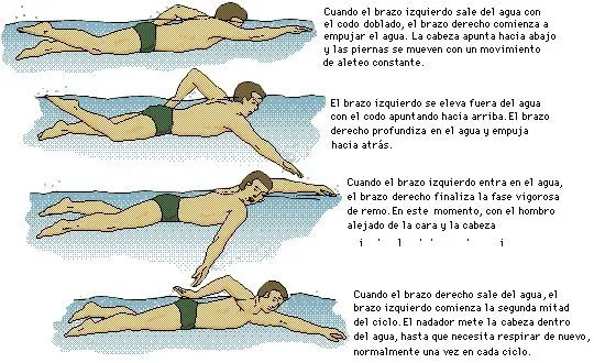 PROGRAMA - ESCUELA PROFESIONAL DE NATACIÓN -