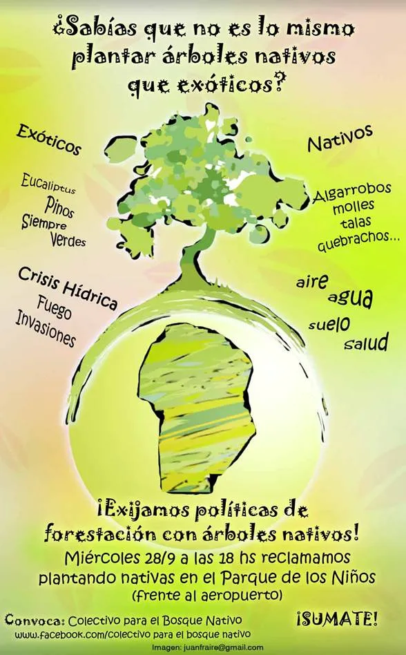 Programa Sustentabilidad Ambiental: Acción por la reforestación ...