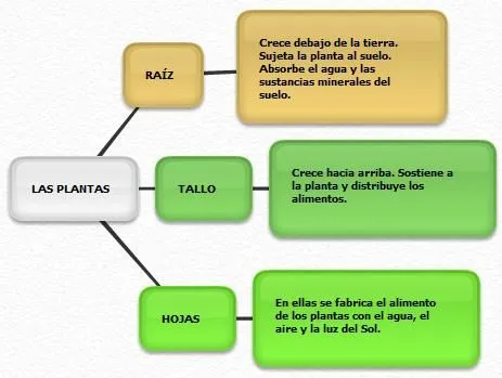 PROGRAMANDO QUINTO: BLOG DE CONOCIMIENTO DEL MEDIO: TEMA 01: LAS ...