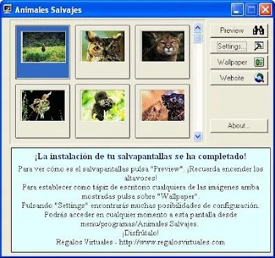 Top Programas: Animales Salvajes