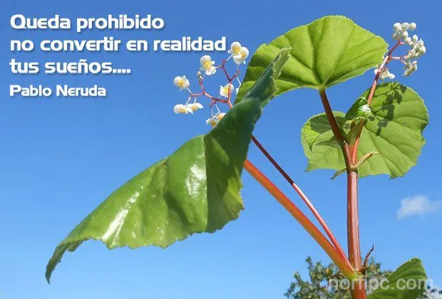 prohibido-no-convertir- ...